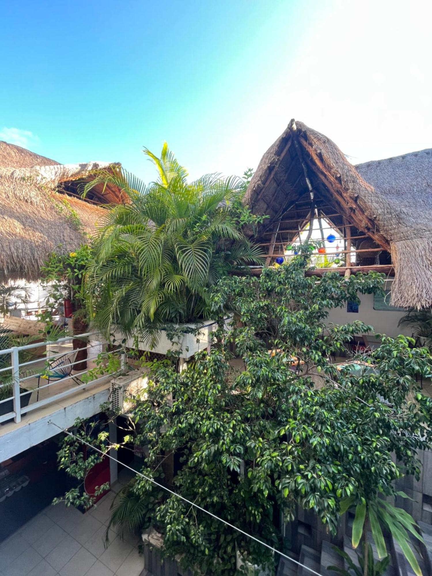Hostelito Hotel Cozumel Bagian luar foto