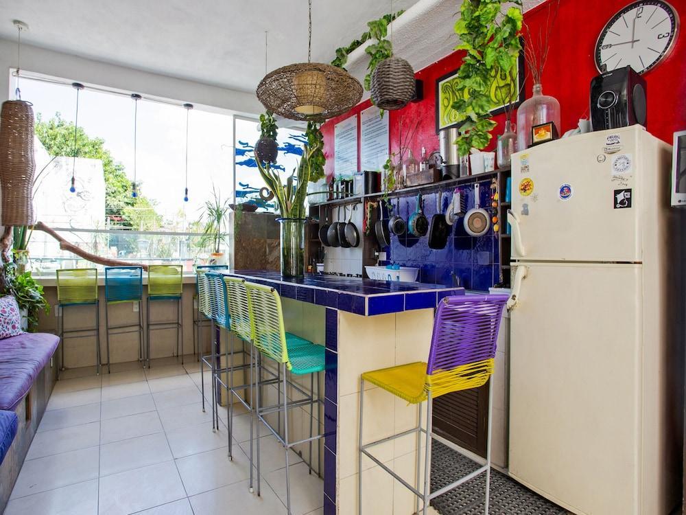 Hostelito Hotel Cozumel Bagian luar foto